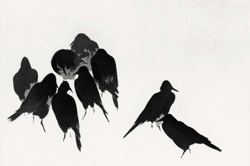 Más allá del&nbsp;obstáculo